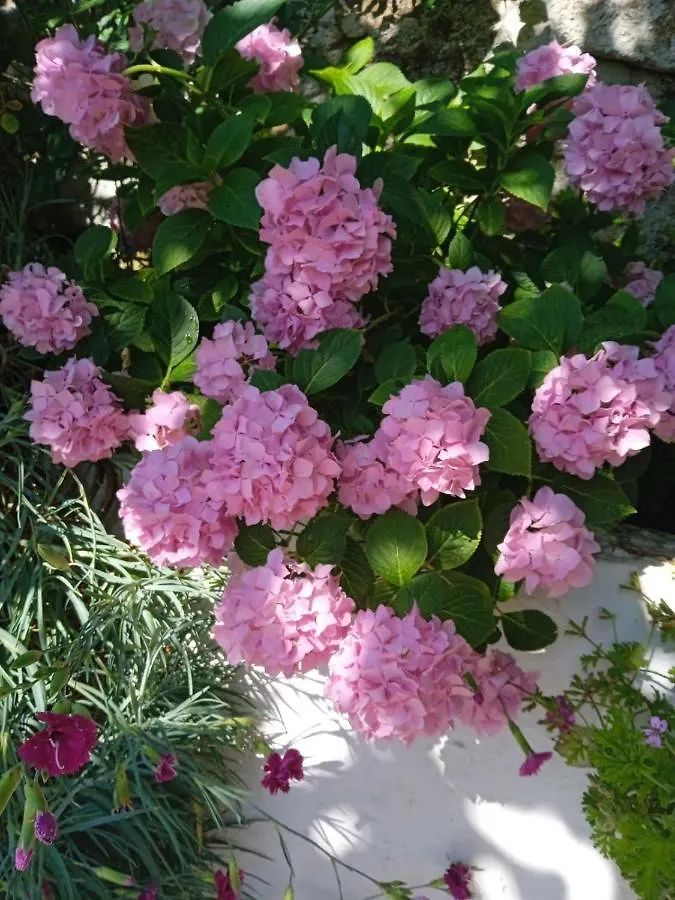 Casa di campagna Affittacamere Rosemary House Sarandë