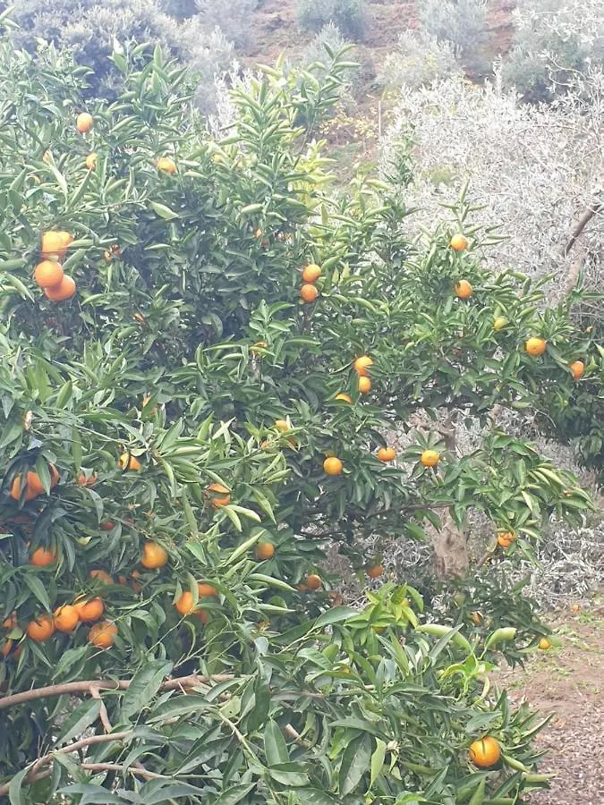 Maison d'hôtes Rosemary House à Saranda 0*,  Albanie
